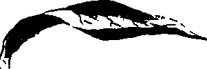 115/115850020201780_0.png