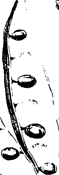 115/115850020201790_0.png