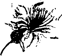 115/115850020201790_1.png