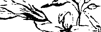 115/115850020201840_1.png