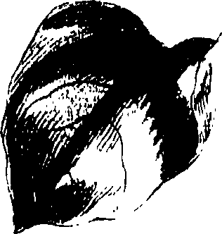 115/115850020201900_0.png