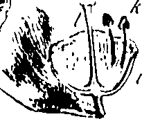 115/115850020201930_0.png