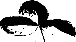 115/115850020202030_0.png