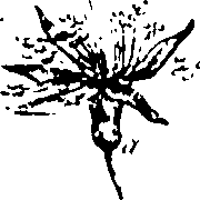 115/115850020202050_0.png