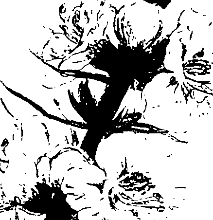 115/115850020202130_0.png