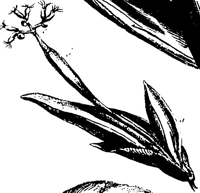 115/115850020202240_0.png