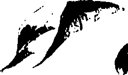 115/115850020202290_0.png