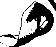 115/115850020202290_1.png