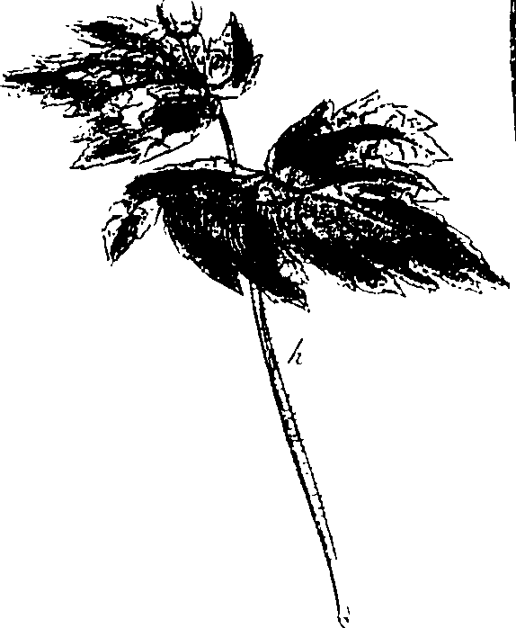 115/115850020202330_0.png