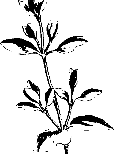 115/115850020202400_0.png