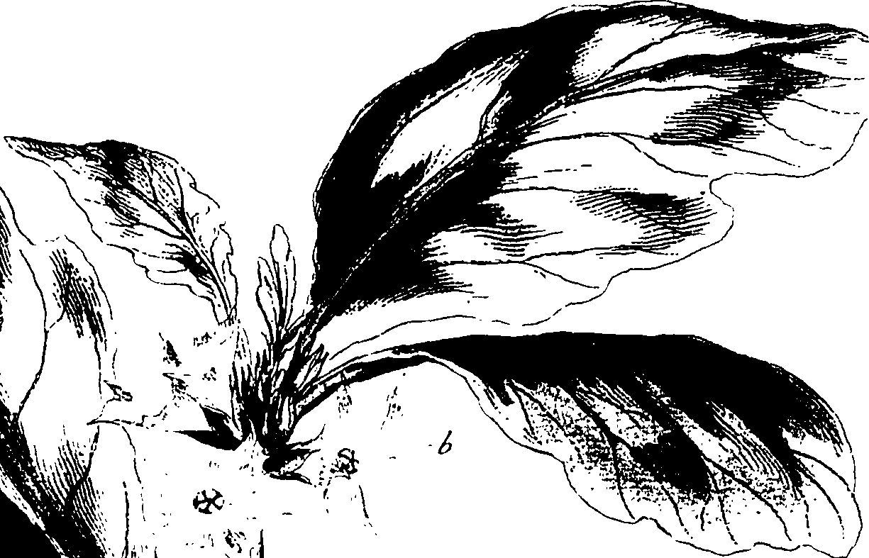 115/115850020202480_0.png