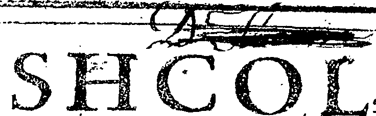 115/115950040000020_0.png