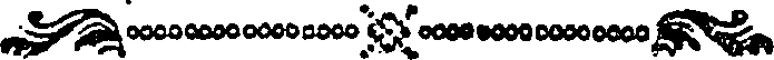 115/115990010002080_0.png