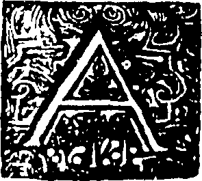 116/116000080000040_0.png