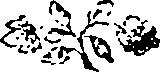 116/116000130000190_0.png