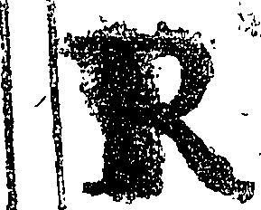 116/116000160000010_4.png