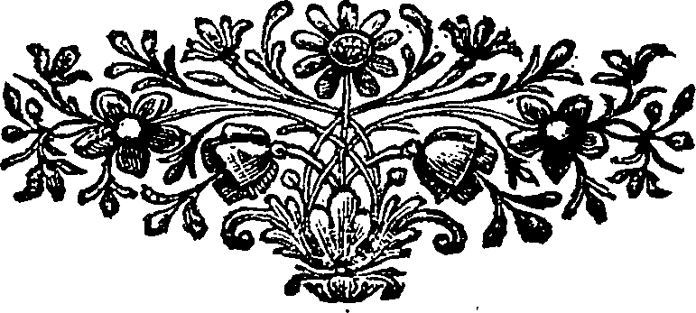 116/116010020003980_0.png