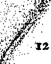 116/116140060000030_0.png