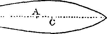 116/116190040000510_0.png