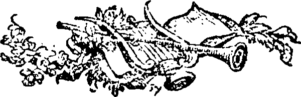116/116300020000490_0.png