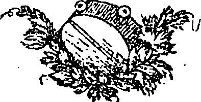 116/116300020000580_0.png