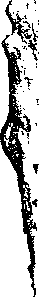 116/116350090000110_0.png