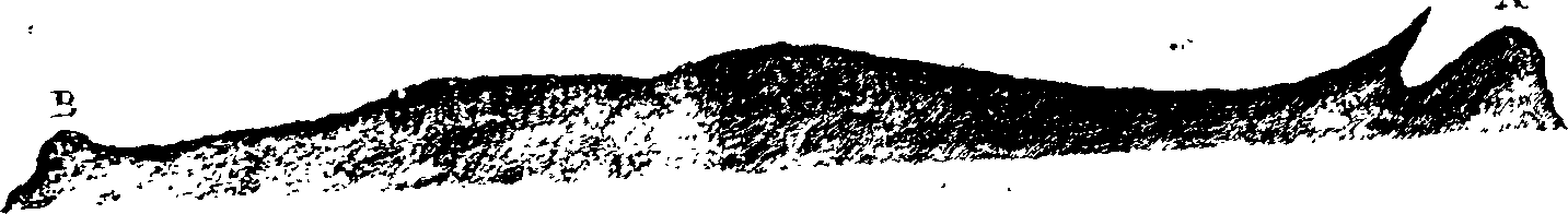 116/116350090000130_0.png