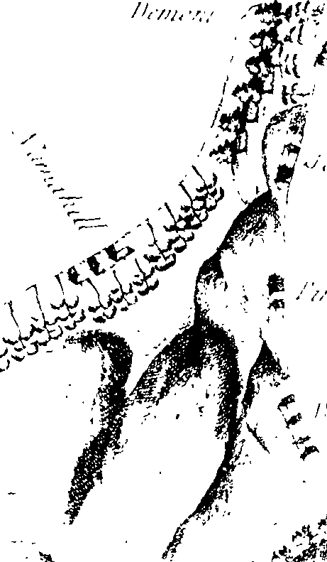 116/116350090000170_2.png