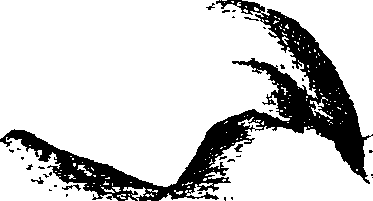 116/116350090000200_1.png