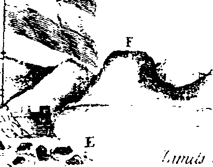 116/116350090000220_0.png