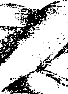 116/116350090000240_0.png