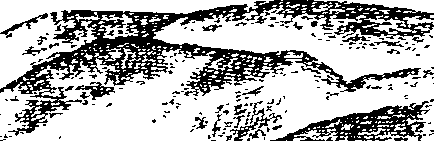 116/116350090000260_0.png