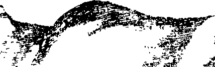 116/116350090000270_2.png