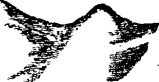 116/116350090000270_3.png