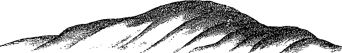 116/116350090000330_0.png