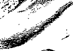 116/116350090000340_0.png