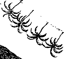 116/116350090000340_1.png