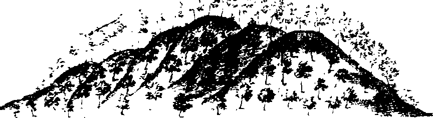 116/116350090000350_0.png