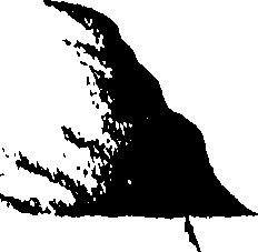116/116350090000420_0.png