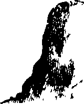116/116350090000420_1.png