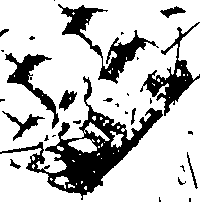 116/116350090000420_2.png