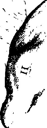 116/116350090000420_4.png