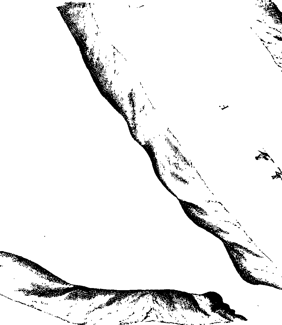 116/116350090000420_5.png