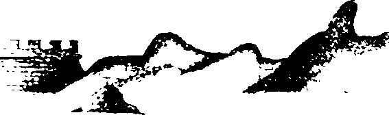 116/116350090000440_0.png