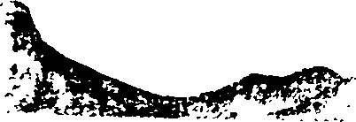 116/116350090000460_0.png