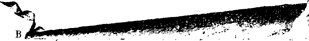 116/116350090000520_1.png