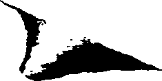 116/116350090000590_1.png