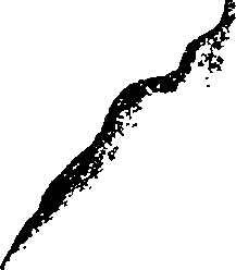 116/116350090000590_2.png
