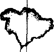 116/116390020000030_0.png