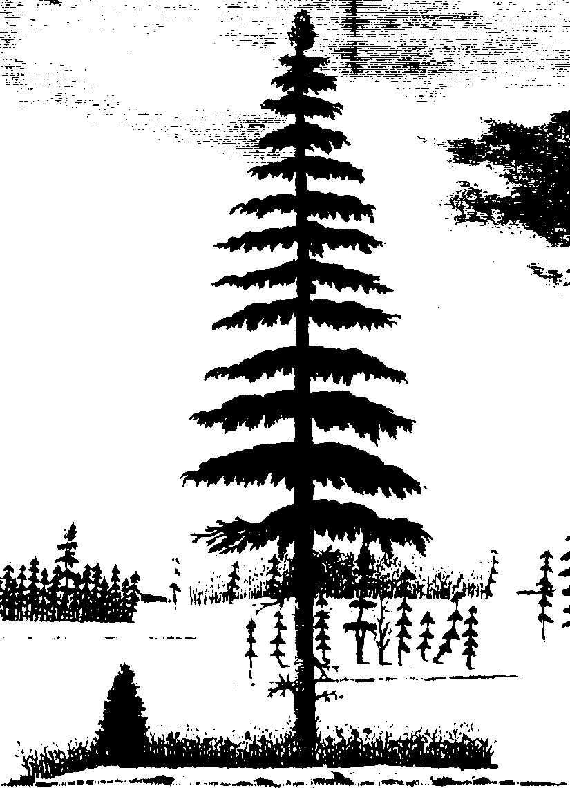116/116390020003040_0.png